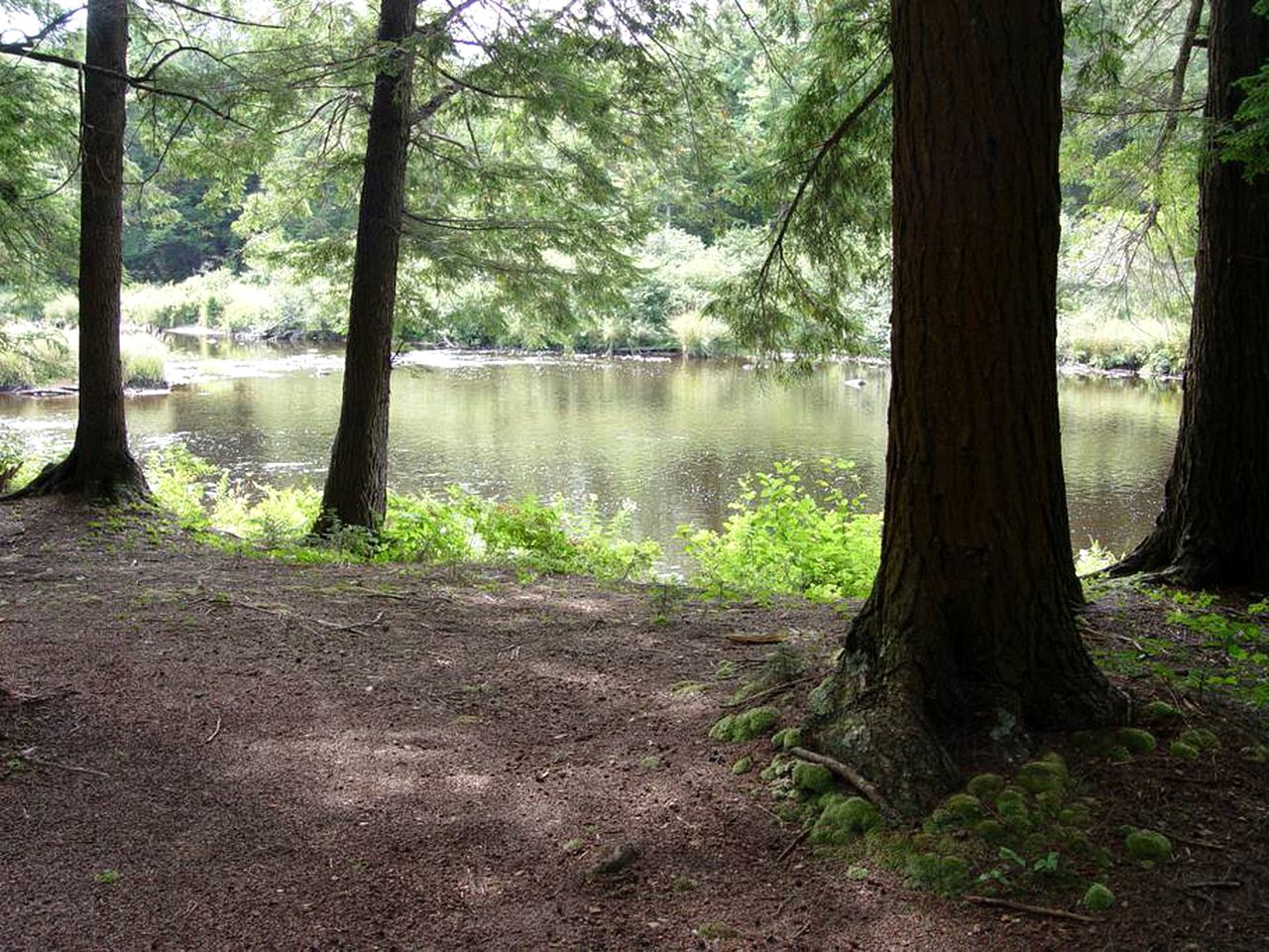 Riverfront Cabin Rental with Lovely Screened Porch near Potsdam, New York