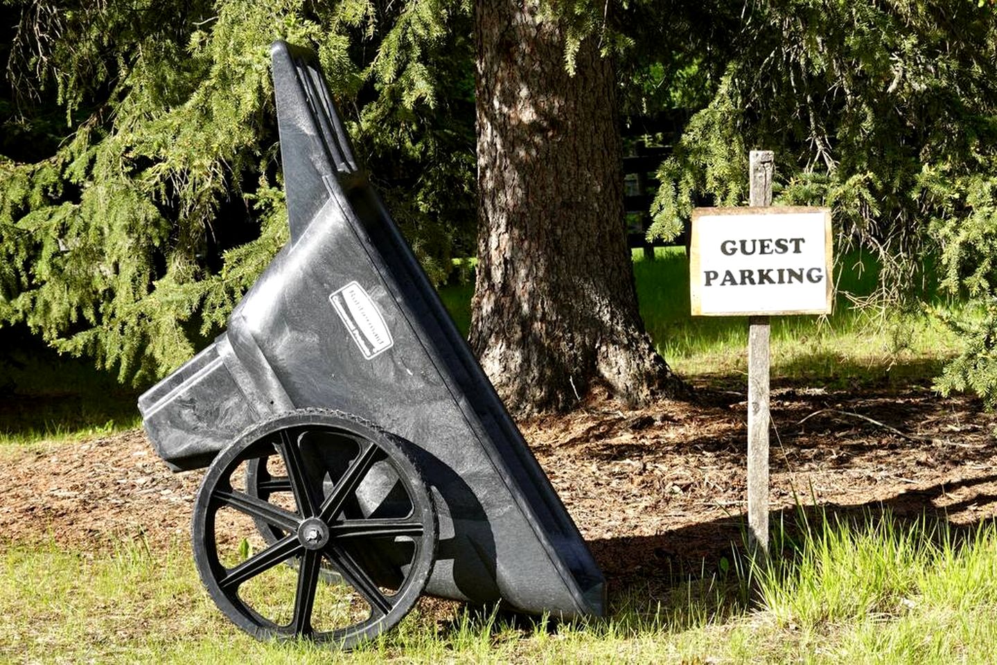 Secluded Rustic Cabin for a Romantic Retreat near Sundre, Alberta