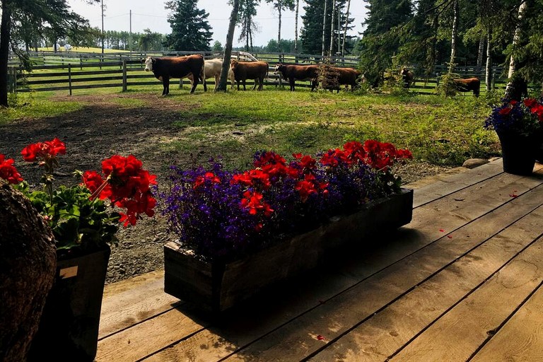 Cabins (Canada, Sundre, Alberta)