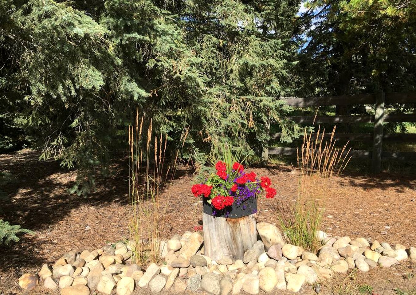 Secluded Rustic Cabin for a Romantic Retreat near Sundre, Alberta