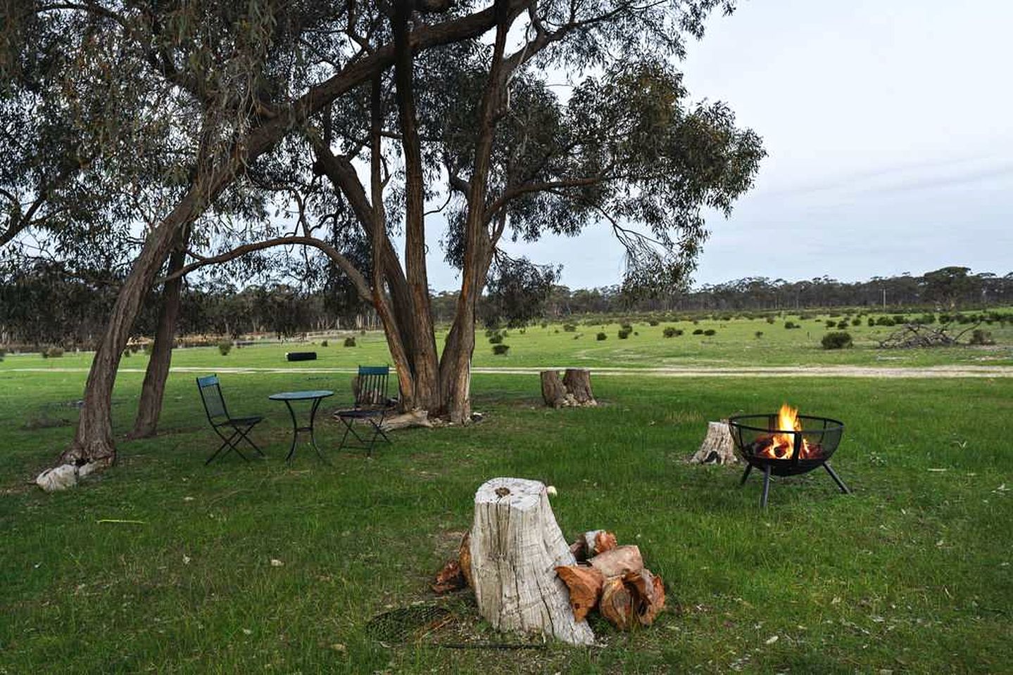 Private Tiny Home Stay Surrounded by Wellsford Forest near Bendigo, Victoria