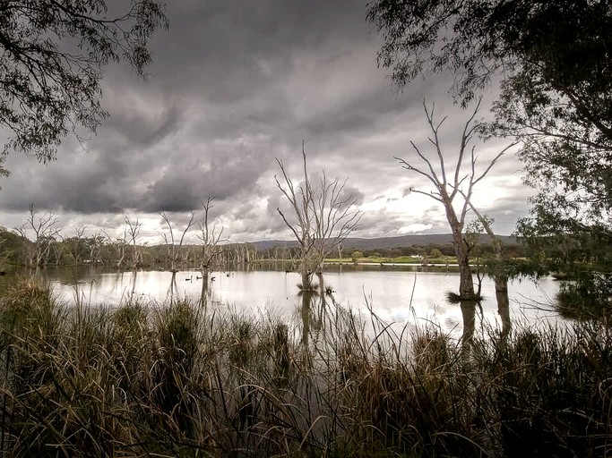 Tiny Houses (Australia, Table Top, New South Wales)