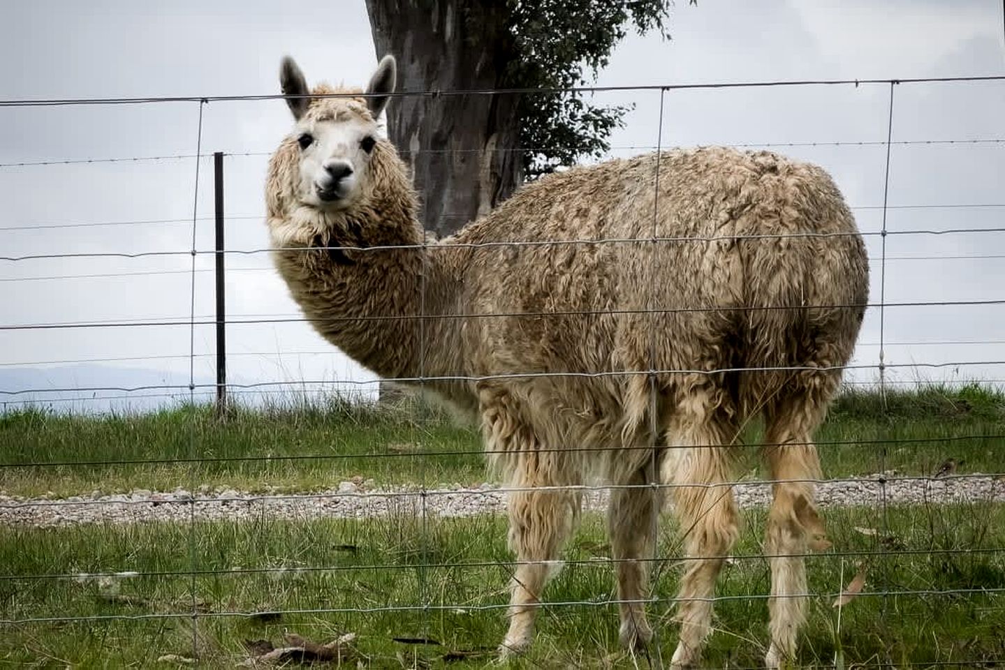 Private Tiny House with Views into the High Country and Lake Hume in New South Wales, Australia