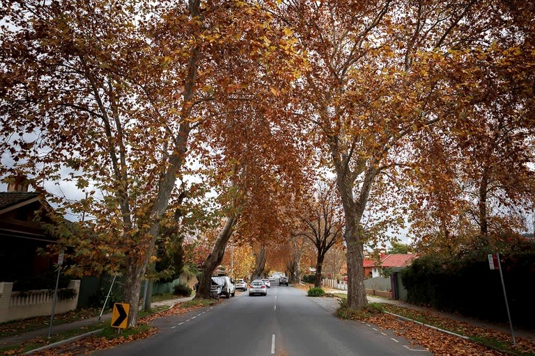 Tiny Houses (Australia, Table Top, New South Wales)