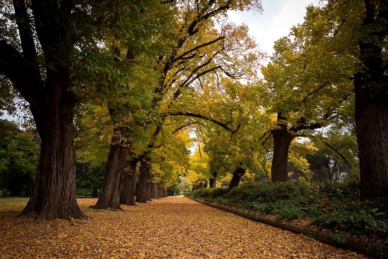 Tiny Houses (Australia, Table Top, New South Wales)