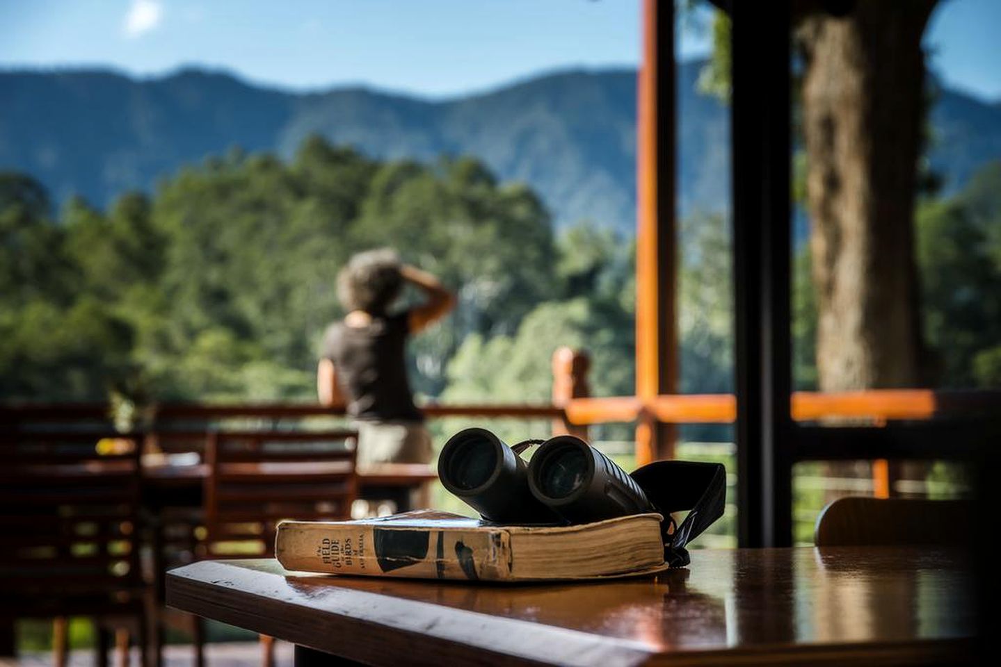 Secluded Cabin Rental with Beautiful Mountain Views near Coffs Harbour, New South Wales