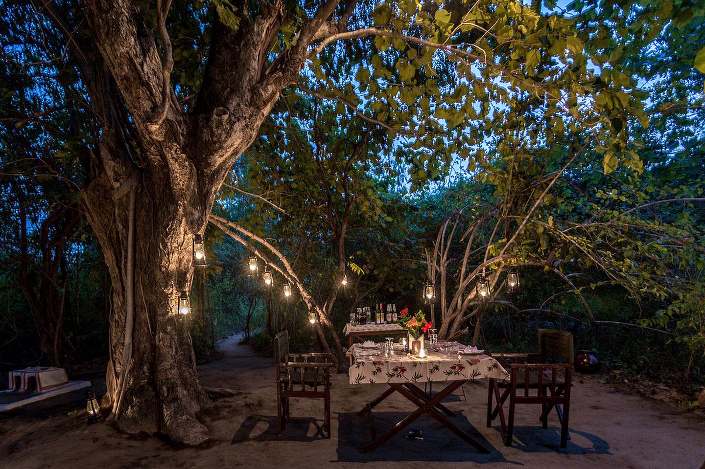 Magical Tree House Rental near the Bandhavgarh Tiger Reserve for Glamping in India