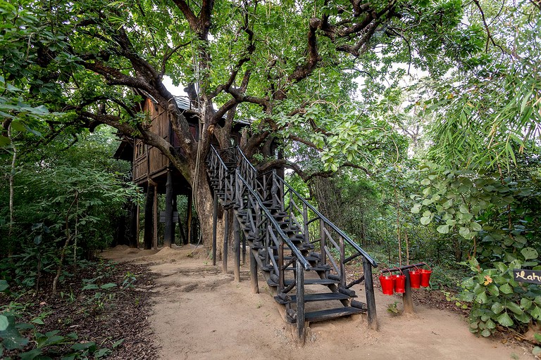 Tree Houses (Bandhavgarh, Madhya Pradesh, India)