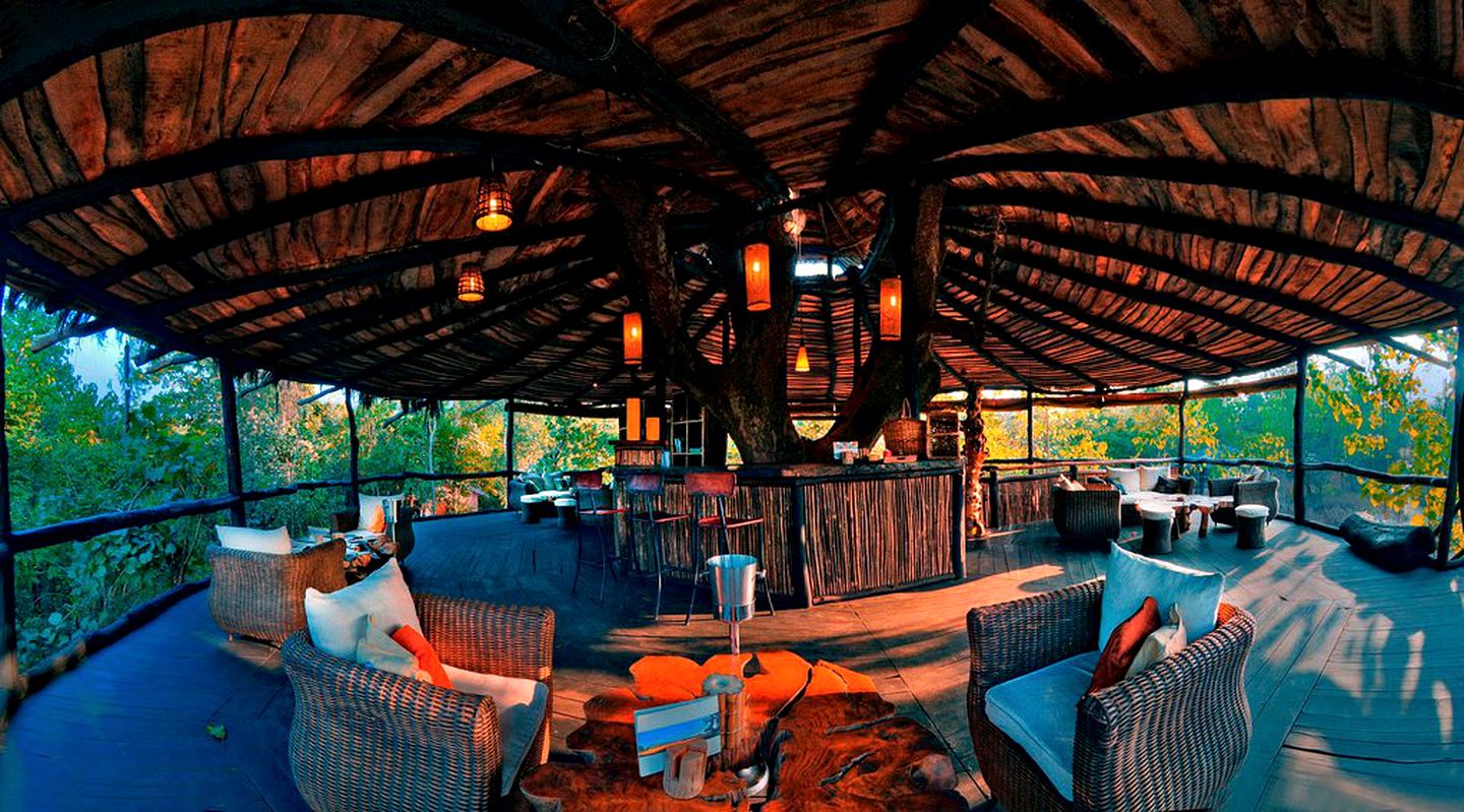 Magical Tree House Rental near the Bandhavgarh Tiger Reserve for Glamping in India