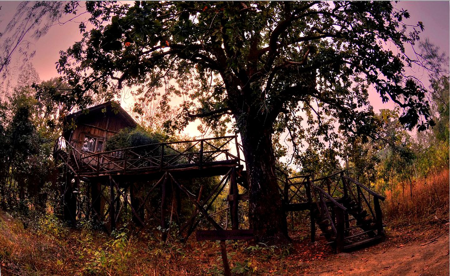 Magical Tree House Rental near the Bandhavgarh Tiger Reserve for Glamping in India