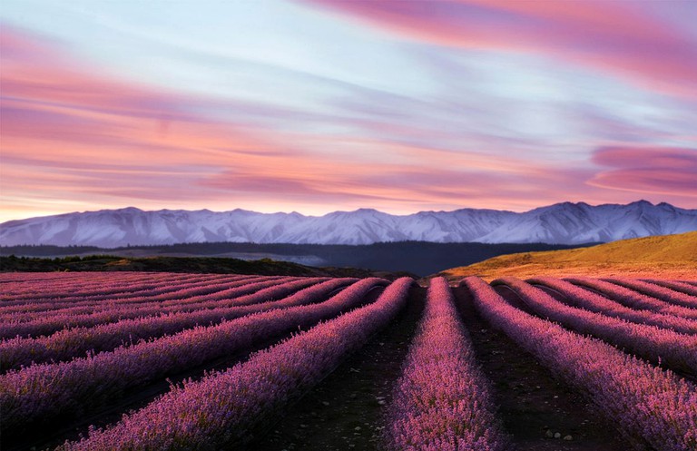 Cottages (Ben Ohau, South Island, New Zealand)