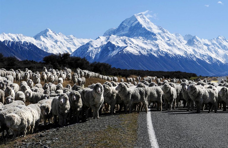 Cottages (Ben Ohau, South Island, New Zealand)