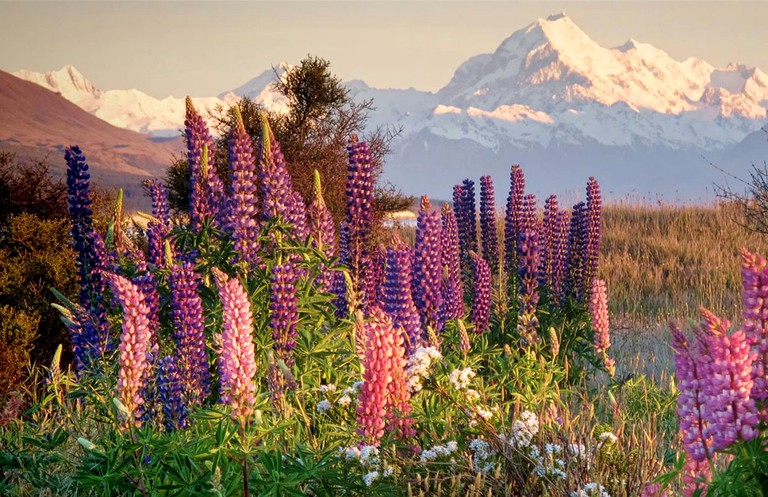 Vacation Rentals (Ben Ohau, South Island, New Zealand)