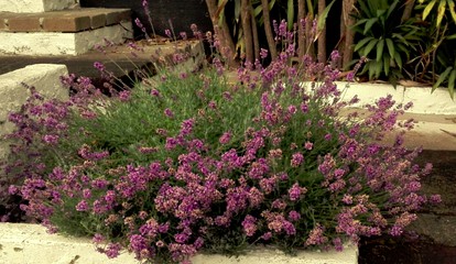 undefined photo 3