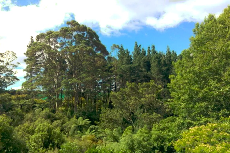 Nature Lodges (Katikati, North Island, New Zealand)