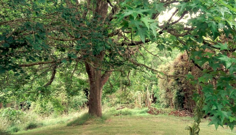 Nature Lodges (Katikati, North Island, New Zealand)