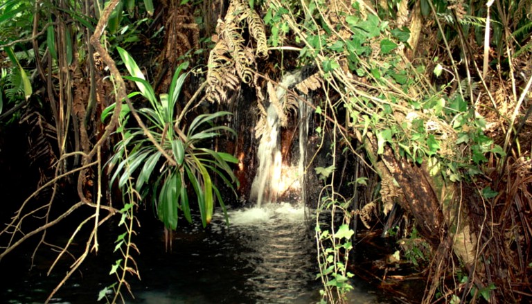 Nature Lodges (Katikati, North Island, New Zealand)