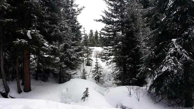 Cabins (Breckenridge, Colorado, United States)