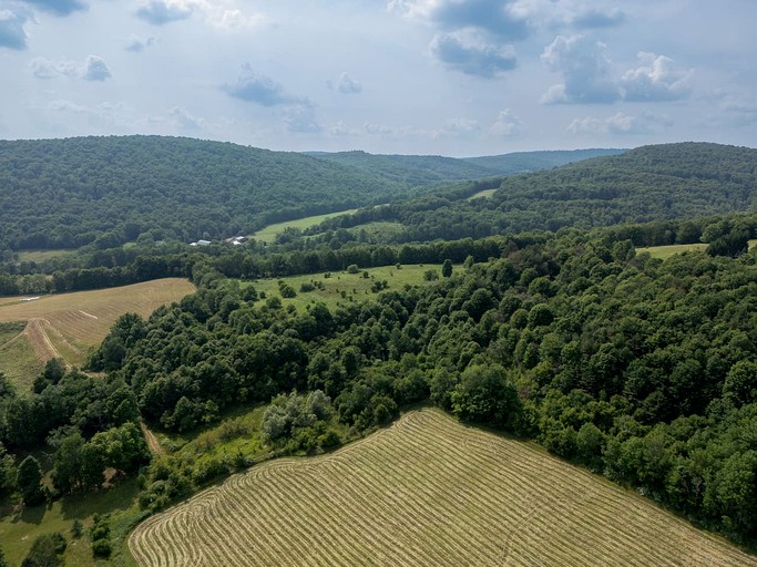 Vacation Rentals (United States of America, --, New York)