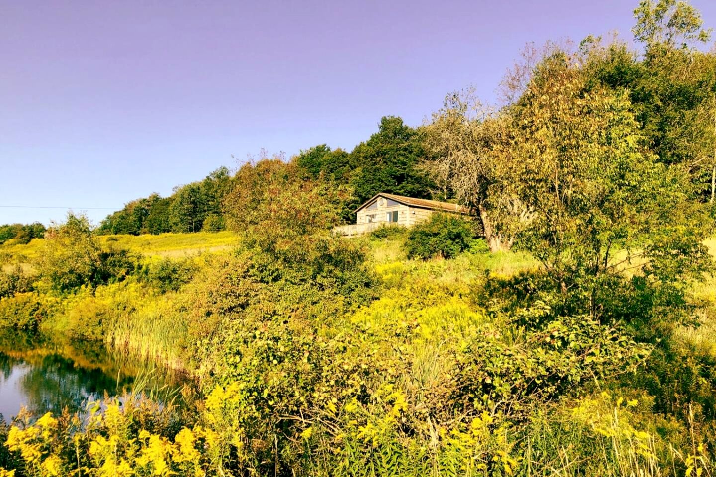 Peaceful Cabin Retreat with Mountain Views & Private Acreage in Hamden, New York
