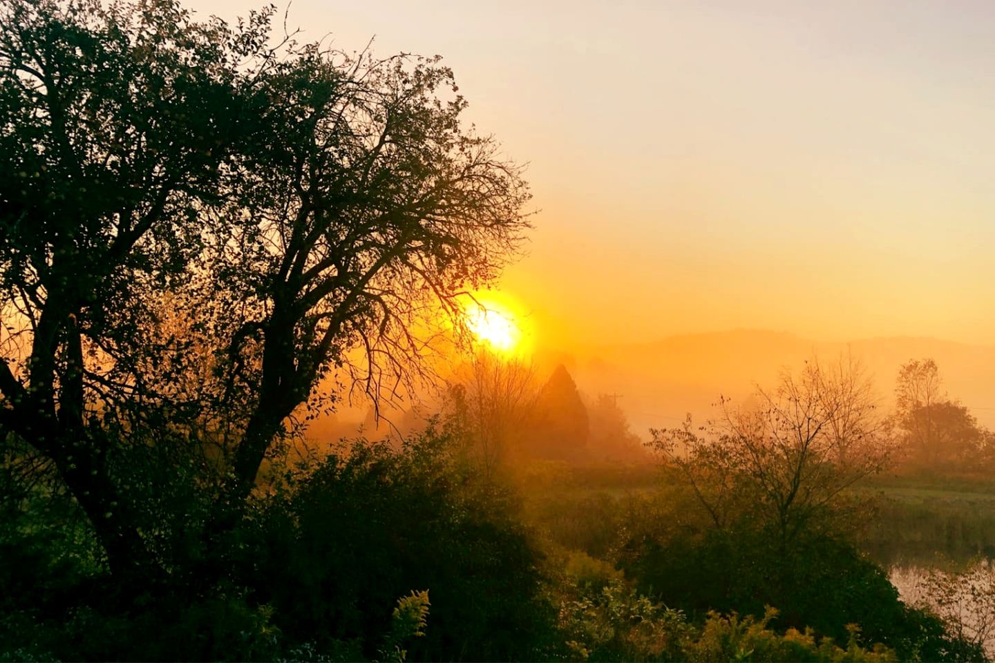 Peaceful Cabin Retreat with Mountain Views & Private Acreage in Hamden, New York
