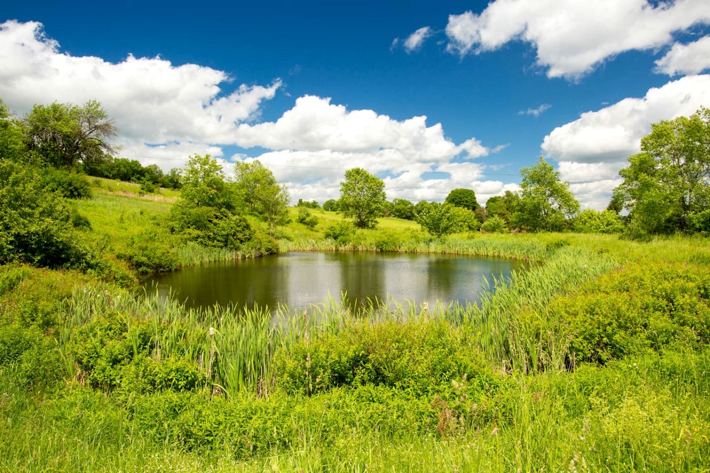 Peaceful Cabin Retreat with Mountain Views & Private Acreage in Hamden, New York