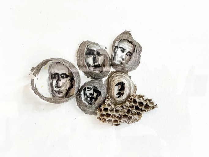 Cabins (United States of America, Hamden, New York)