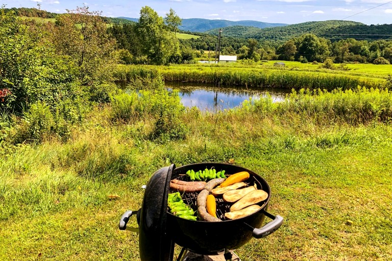 Cabins (United States of America, Hamden, New York)