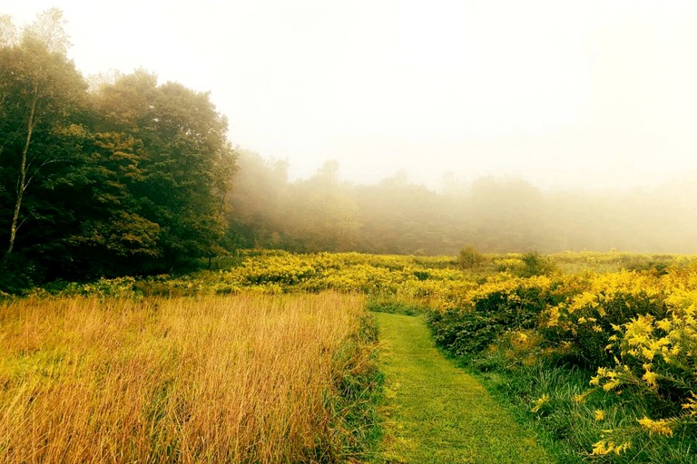 Cabins (United States of America, Hamden, New York)