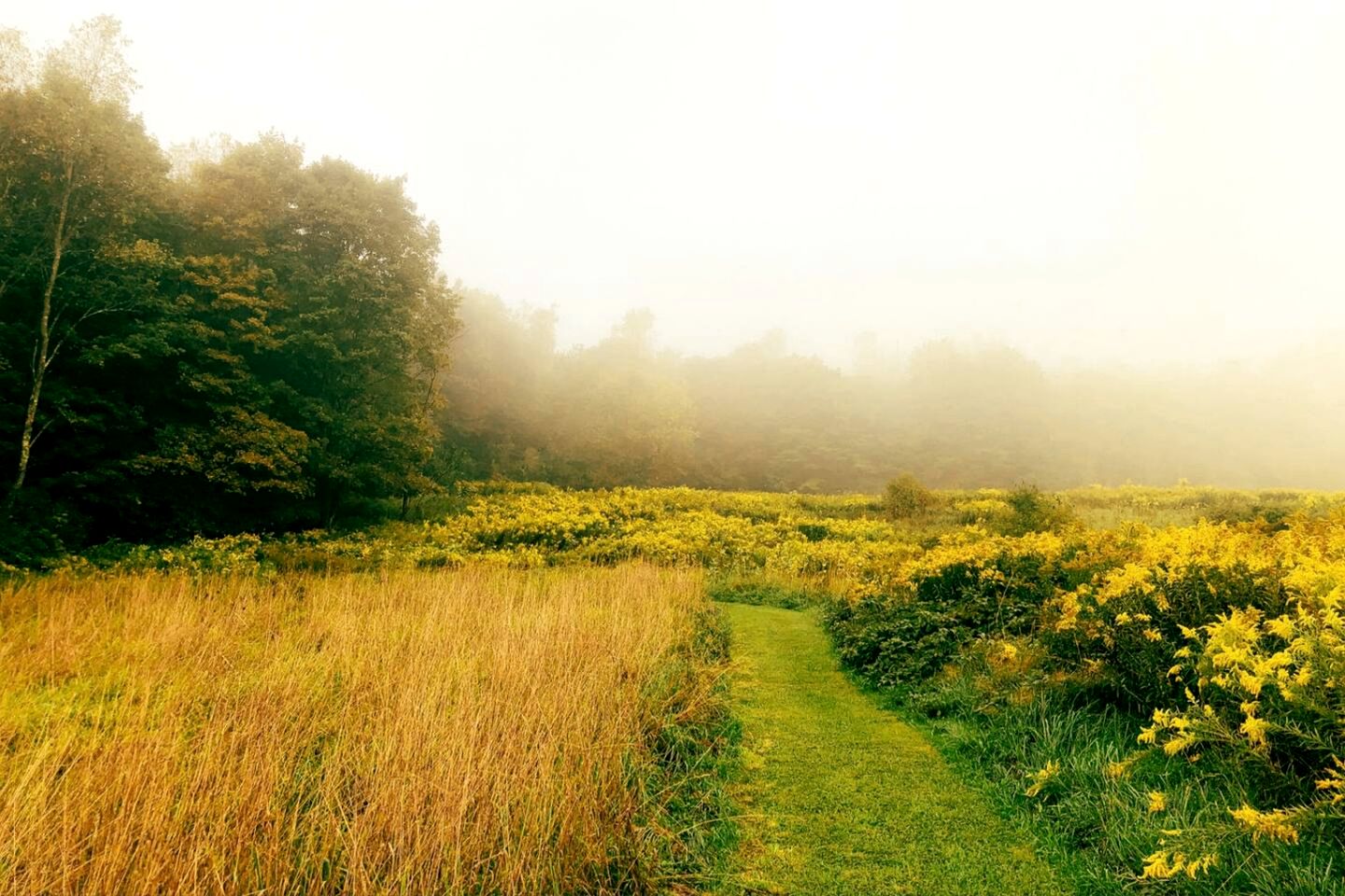 Peaceful Cabin Retreat with Mountain Views & Private Acreage in Hamden, New York