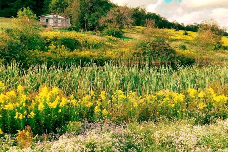 Cabins (United States of America, Hamden, New York)