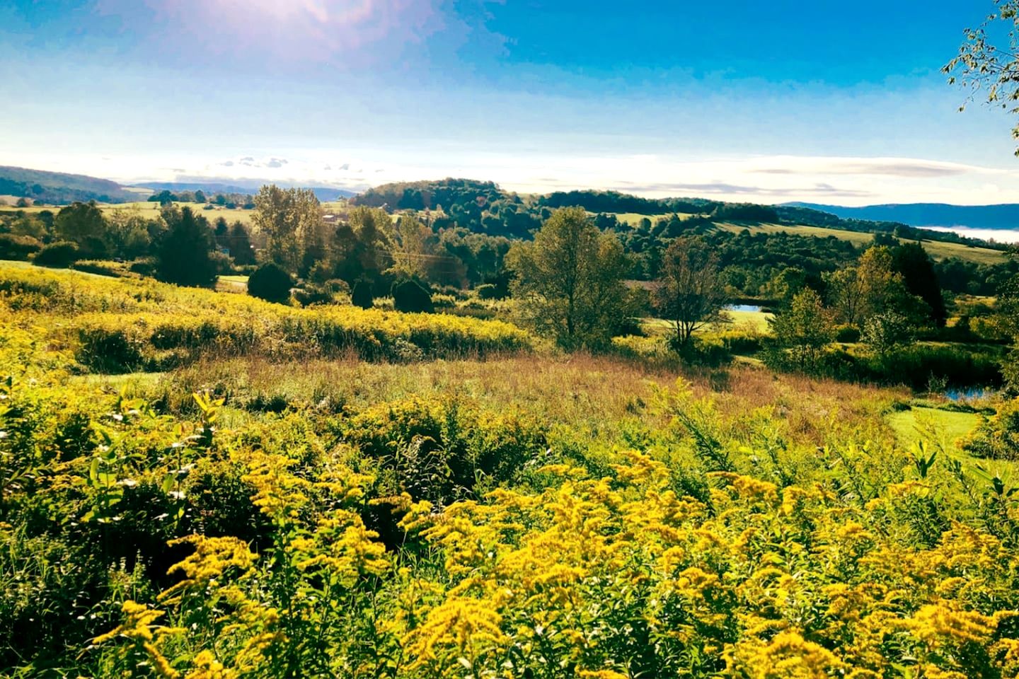 Peaceful Cabin Retreat with Mountain Views & Private Acreage in Hamden, New York
