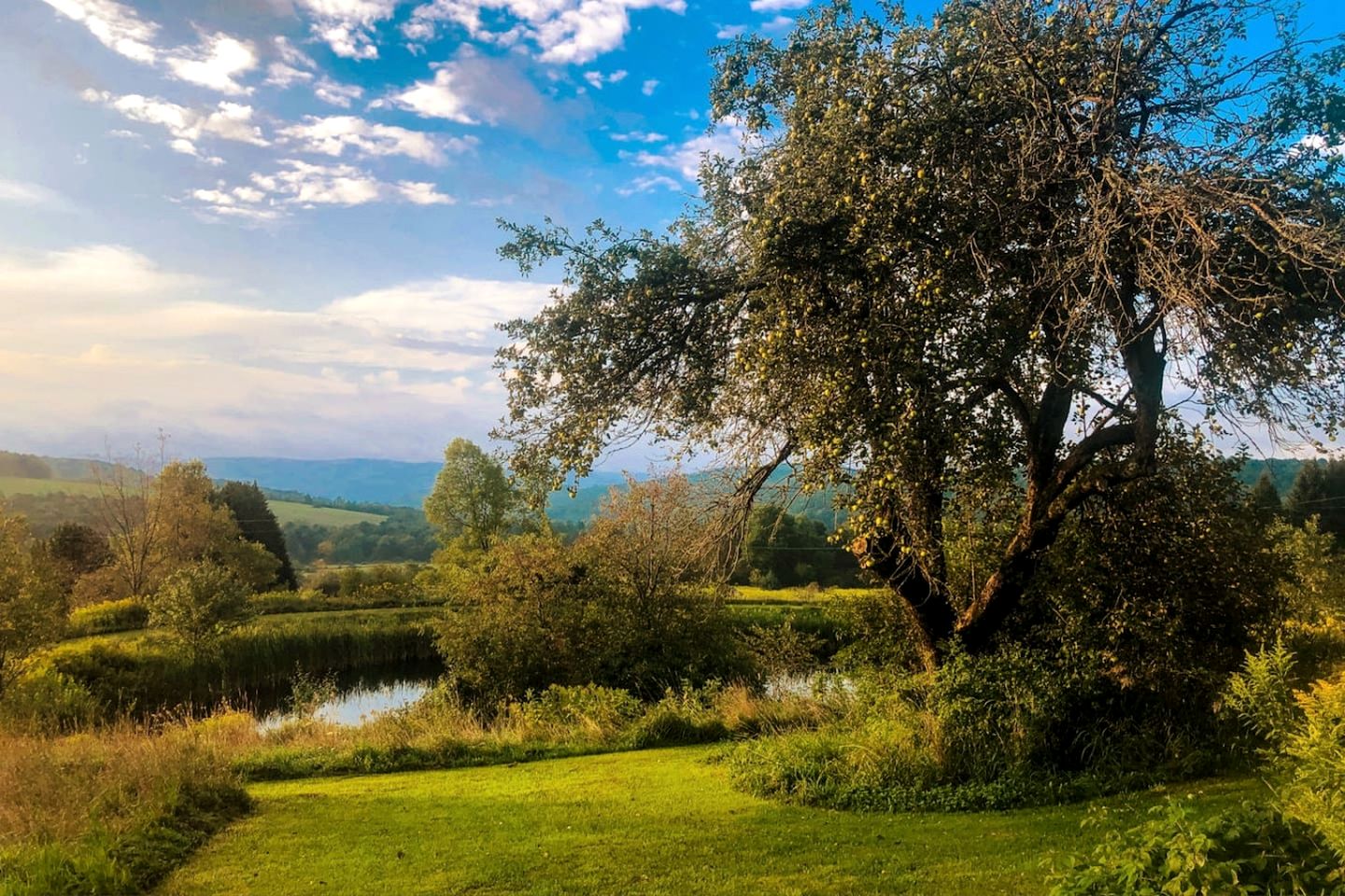 Peaceful Cabin Retreat with Mountain Views & Private Acreage in Hamden, New York