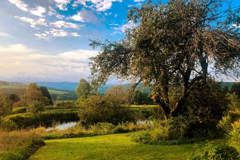 Cabins (United States of America, Hamden, New York)