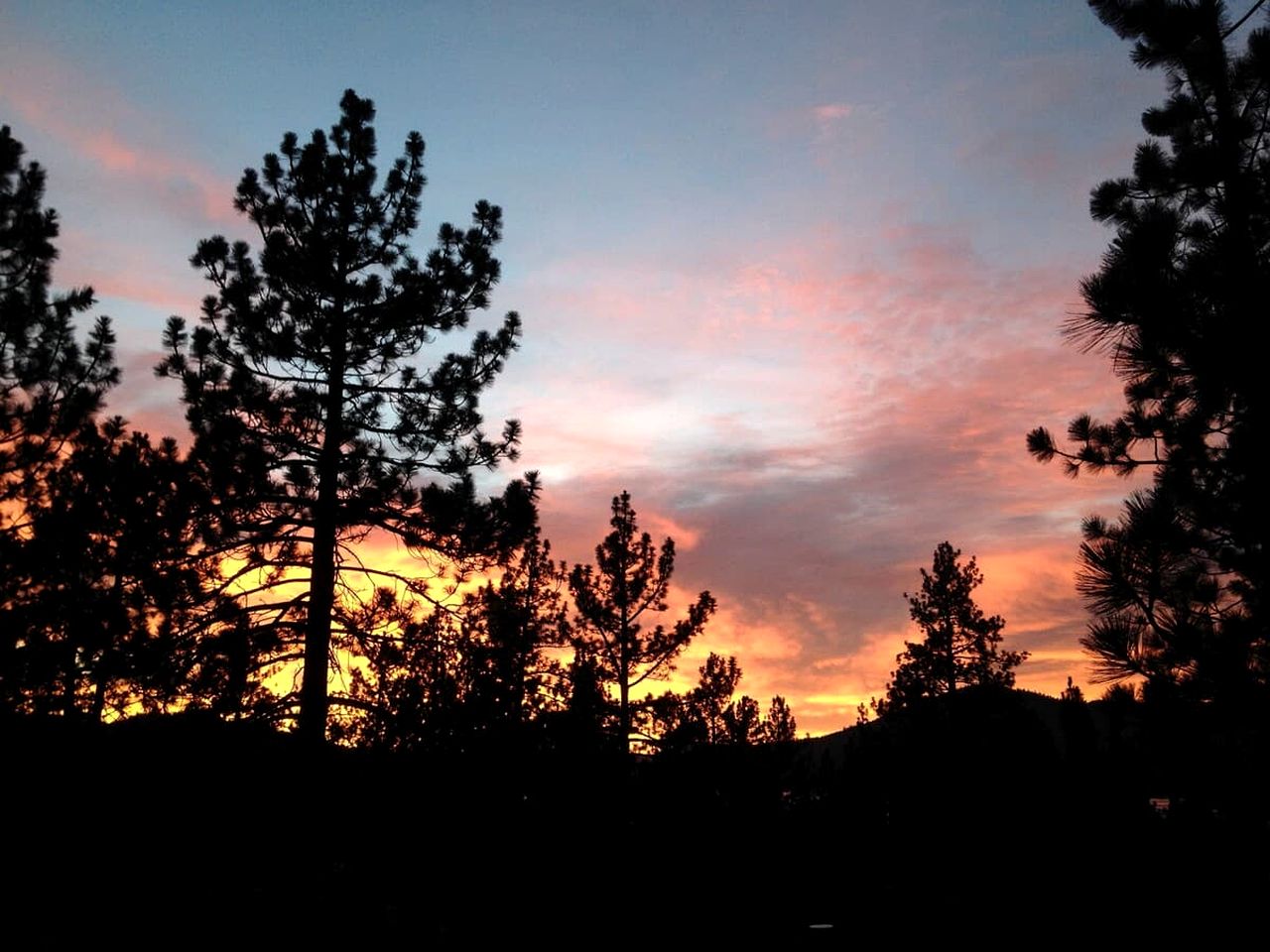 Quaint Cottage in The Village near Big Bear Lake, Perfect for a Weekend Escape