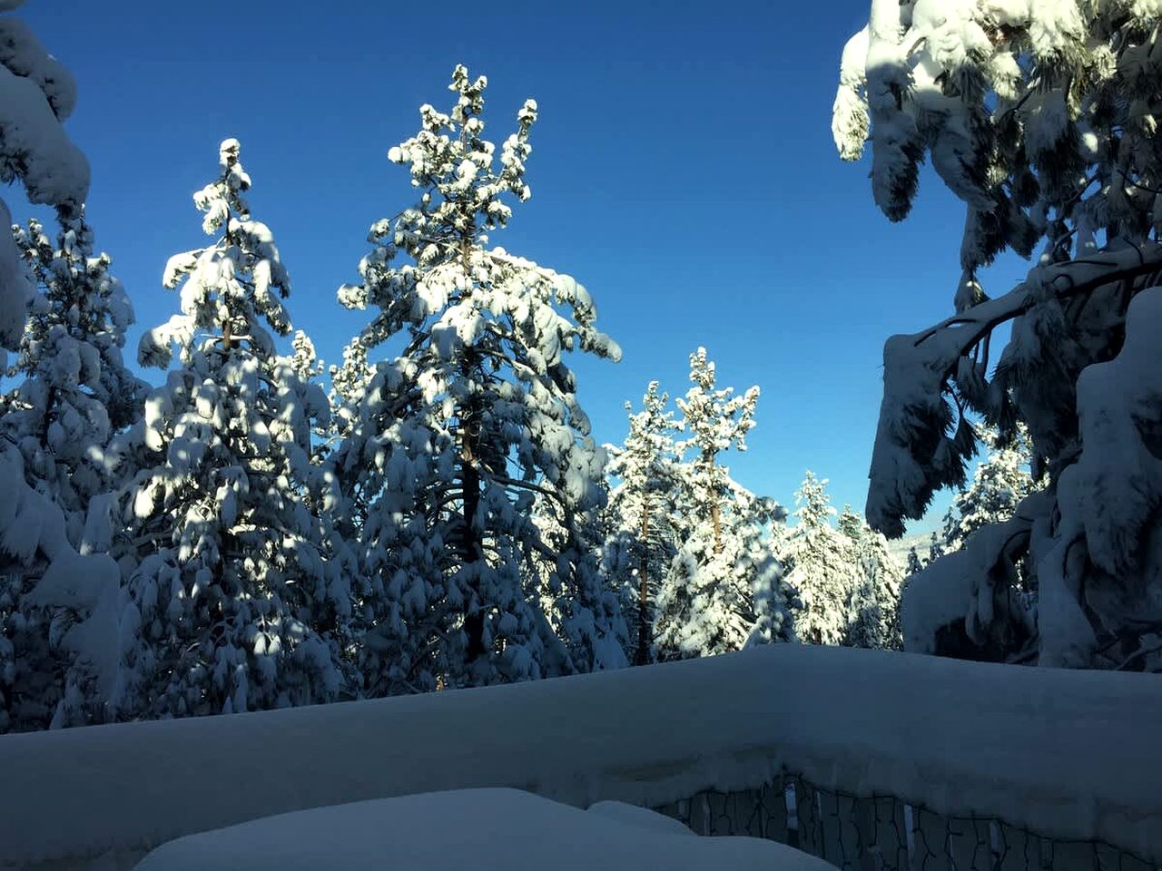 Quaint Cottage in The Village near Big Bear Lake, Perfect for a Weekend Escape