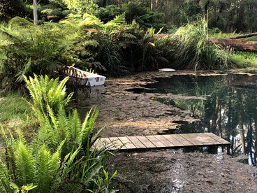 Springwater Gardens Tiny Home Rental for a Yarra Valley Holiday - Photo 3