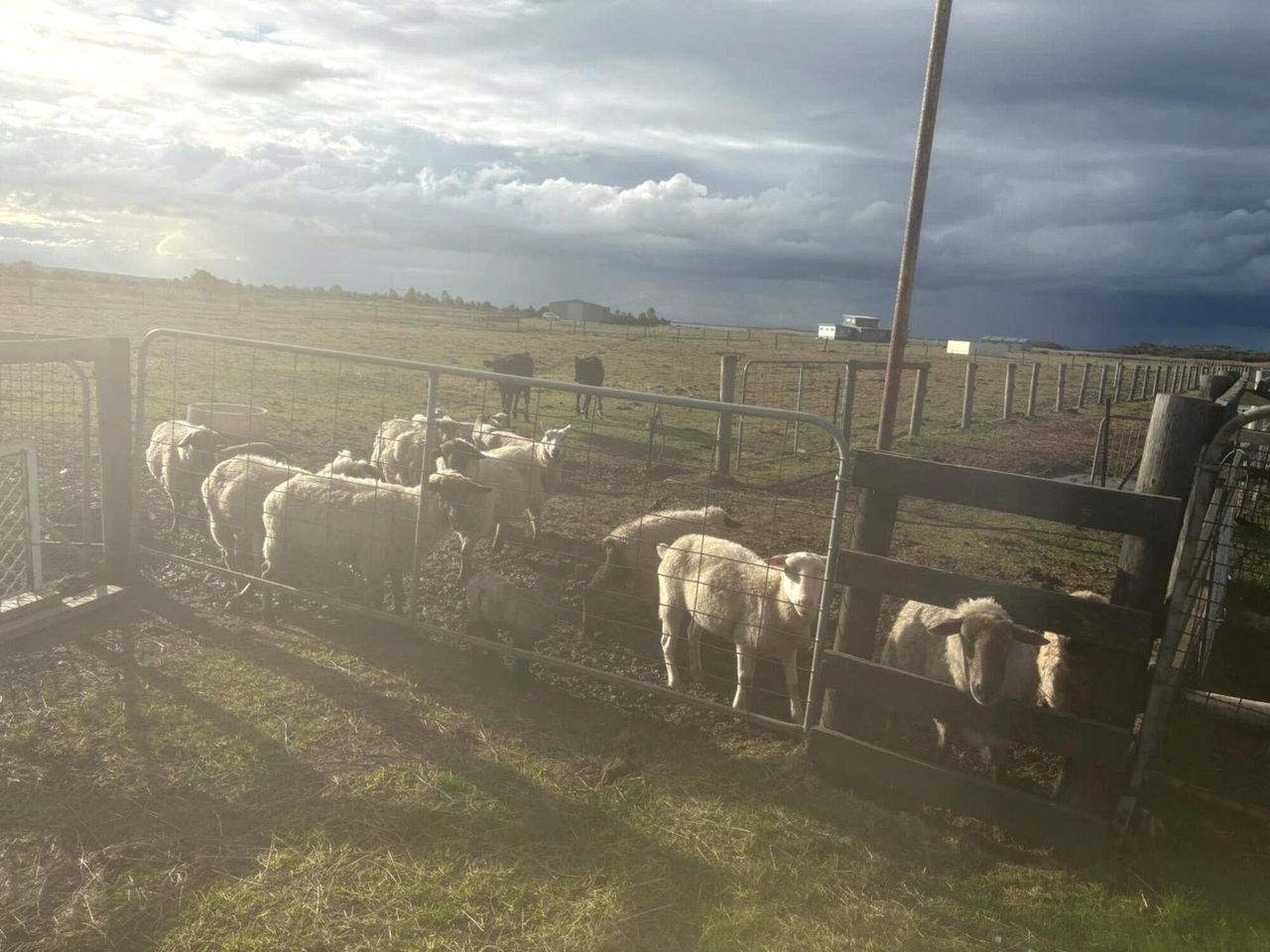 Cozy Farmstay Tiny Home with Private Bay Access near Phillip Island, Grantville VIC