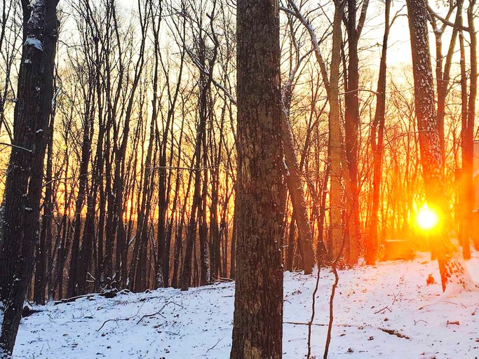 Cabin Rental Delaware Water Gap Pennsylvania Glamping Hub