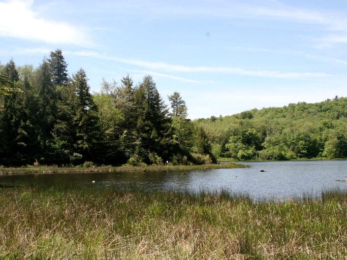 Log Cabins (Parksville, New York, United States)