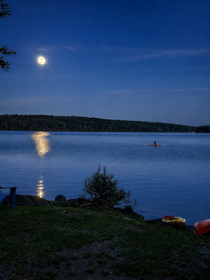 Quiet Waterfront Cabin with Fireplace, Porch & Nature All Around in Greenville, Maine