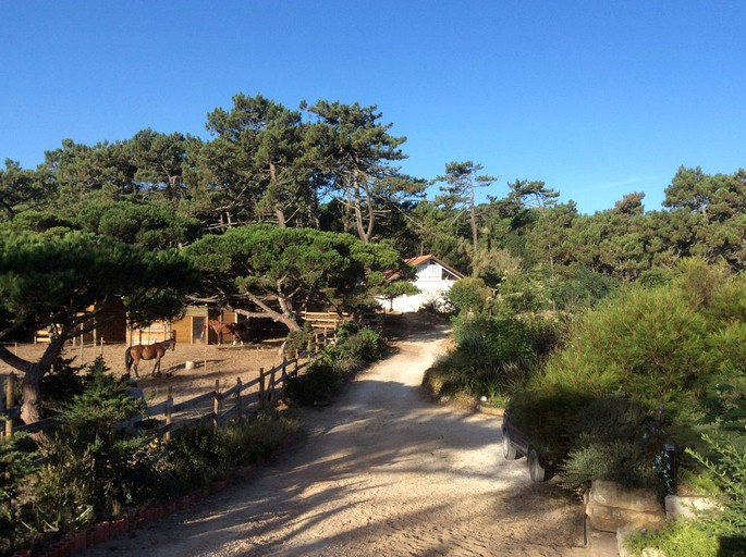 Cabins (Colares, Lisbon District, Portugal)