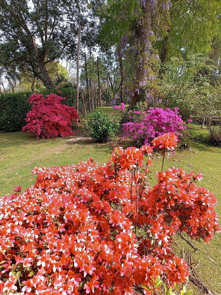 Tranquil Island Cabin with Private Dock & Birdwatching near Tigre, Buenos Aires