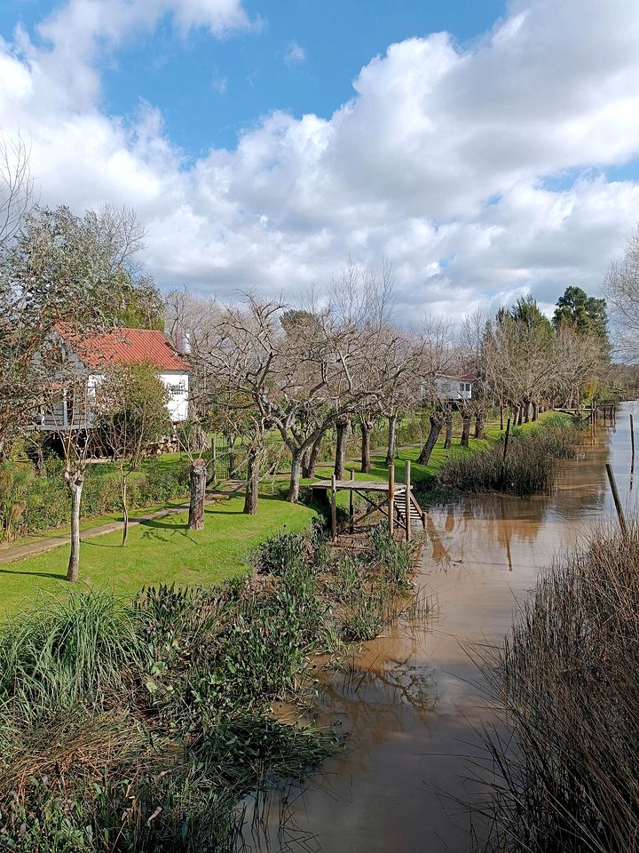 Tranquil Island Cabin with Private Dock & Birdwatching near Tigre, Buenos Aires