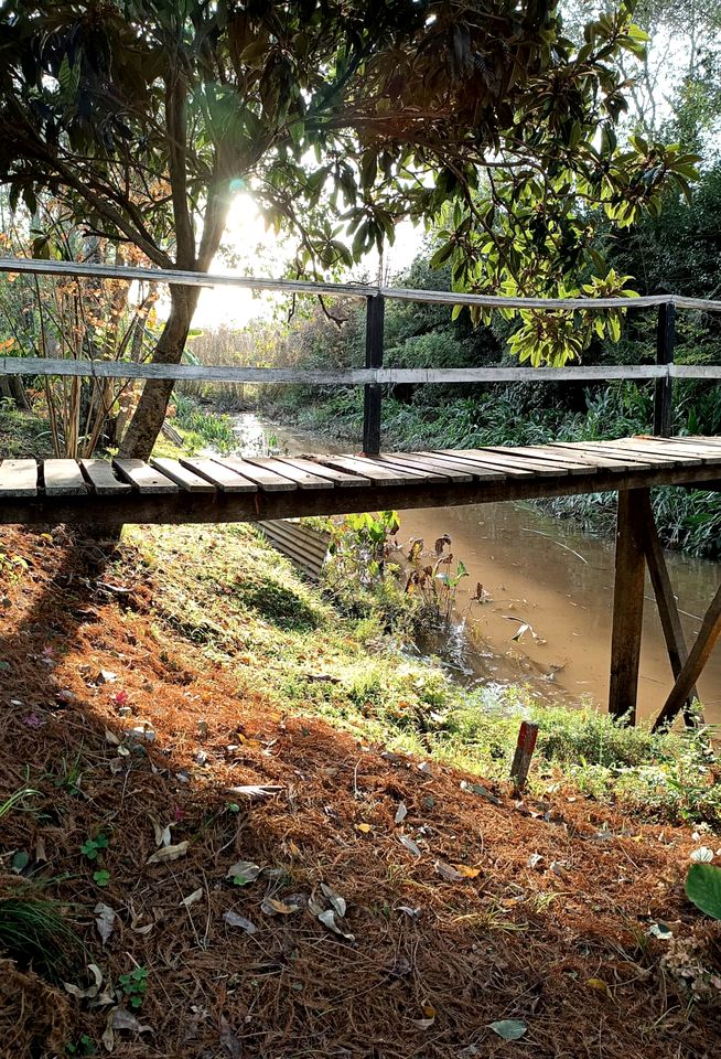 Tranquil Island Cabin with Private Dock & Birdwatching near Tigre, Buenos Aires