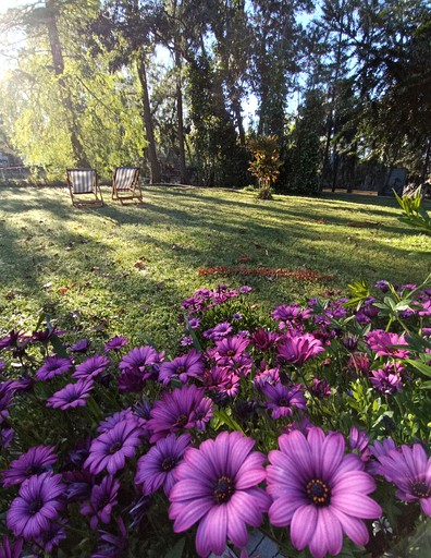 Villas (Argentina, Islas de Tigre, Buenos Aires)