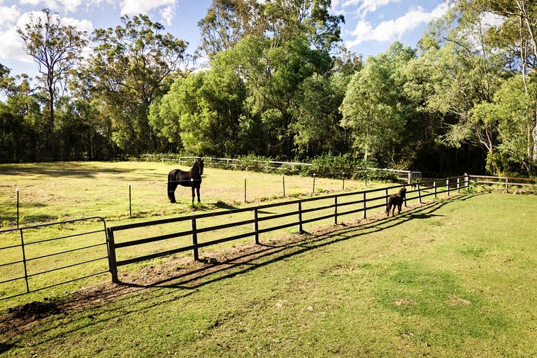 Tiny Houses (Australia, North Tamborine, Queensland)