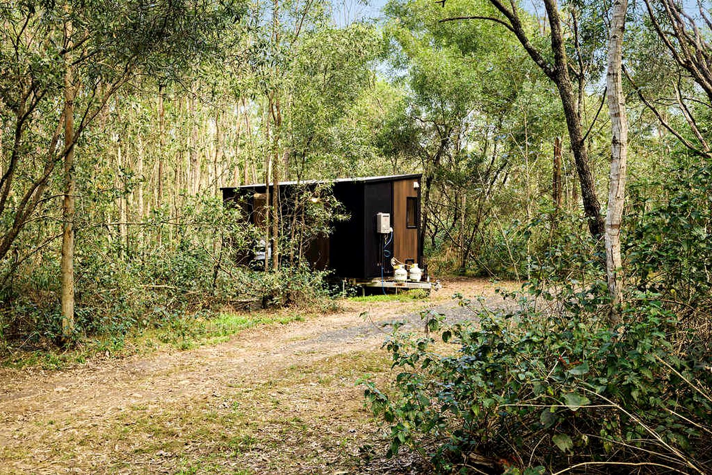 Quirky Tiny House Retreat with Friesian Horses Near Tamborine Mountain, Queensland