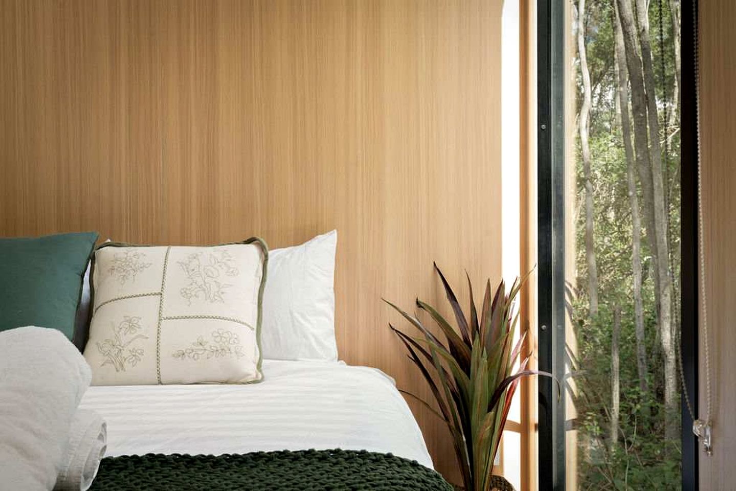 Quirky Tiny House Retreat with Friesian Horses Near Tamborine Mountain, Queensland