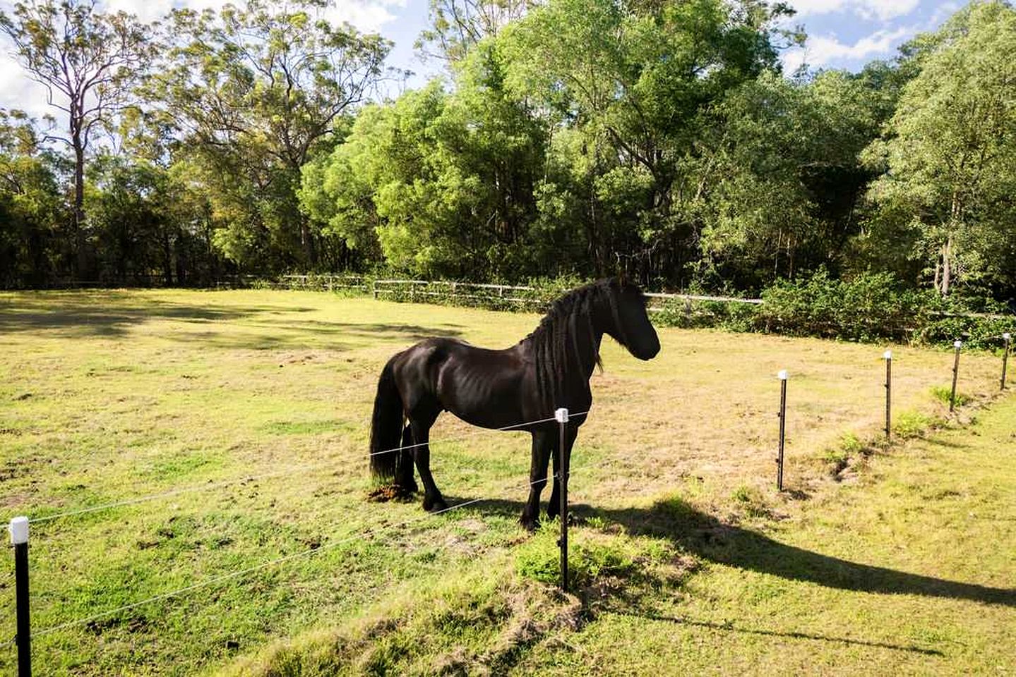 Quirky Tiny House Retreat with Friesian Horses Near Tamborine Mountain, Queensland